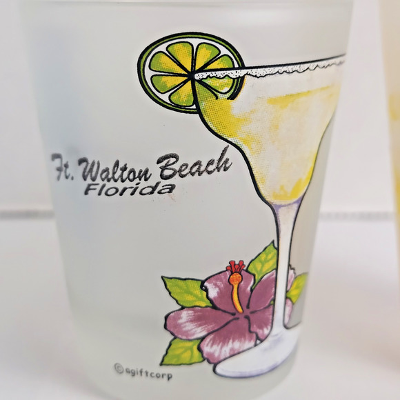 Florida 3 Shot Glasses Ft. Meyers Ft. Walton Oak Island Palm Beach Margarita Bar - Picture 7 of 9